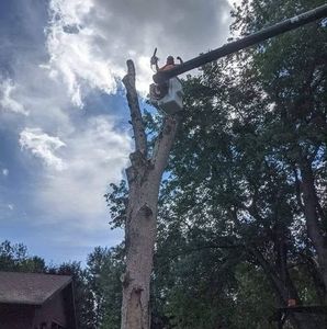 Meet your Posher, Dan